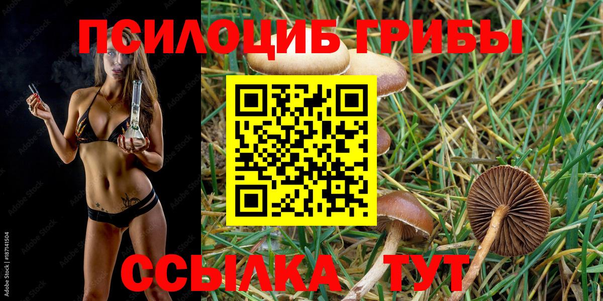 Псилоцибиновые грибы Cubensis Каменск-Шахтинский