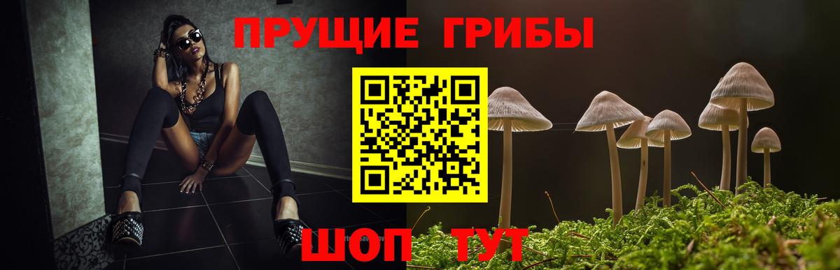 Каменск-Шахтинский  продажа наркотиков  Вход с VPN  Псилоцибиновые грибы ЛСД 